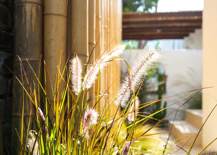 Silver Fos 아파트 *