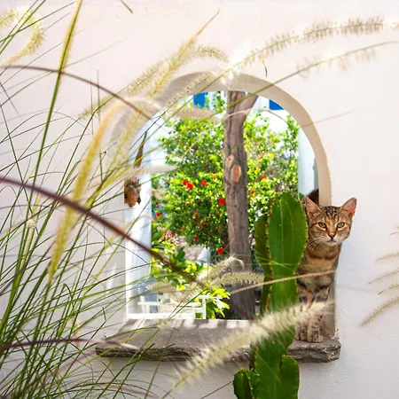 Silver Fos Appartement