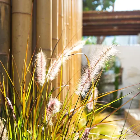 Silver Fos Appartement *