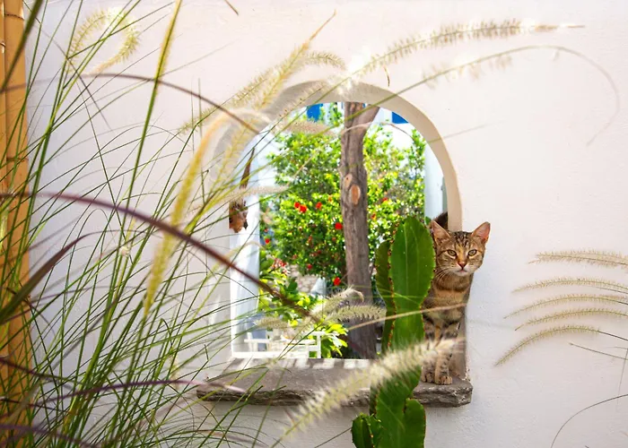 Silver Fos Appartement